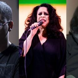 Imagem - Gal Costa: viúva e filho da cantora fazem acordo por herança milionária