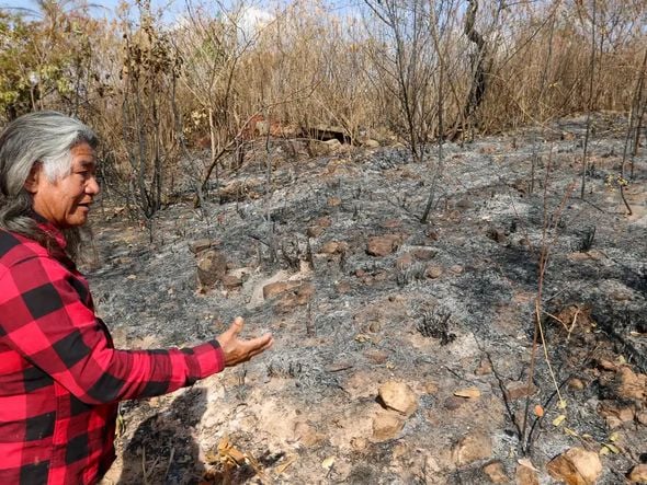 Imagem - Indígenas sofrem com incêndio em área próxima a parque de Brasília