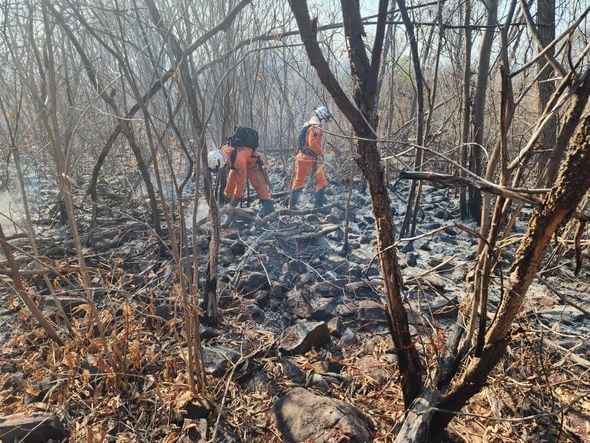 Imagem - Oeste da Bahia recebe apoio de helicóptero dos bombeiros em combate a incêndios florestais