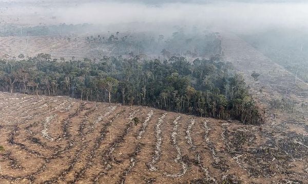 Desmatamento Amazônia