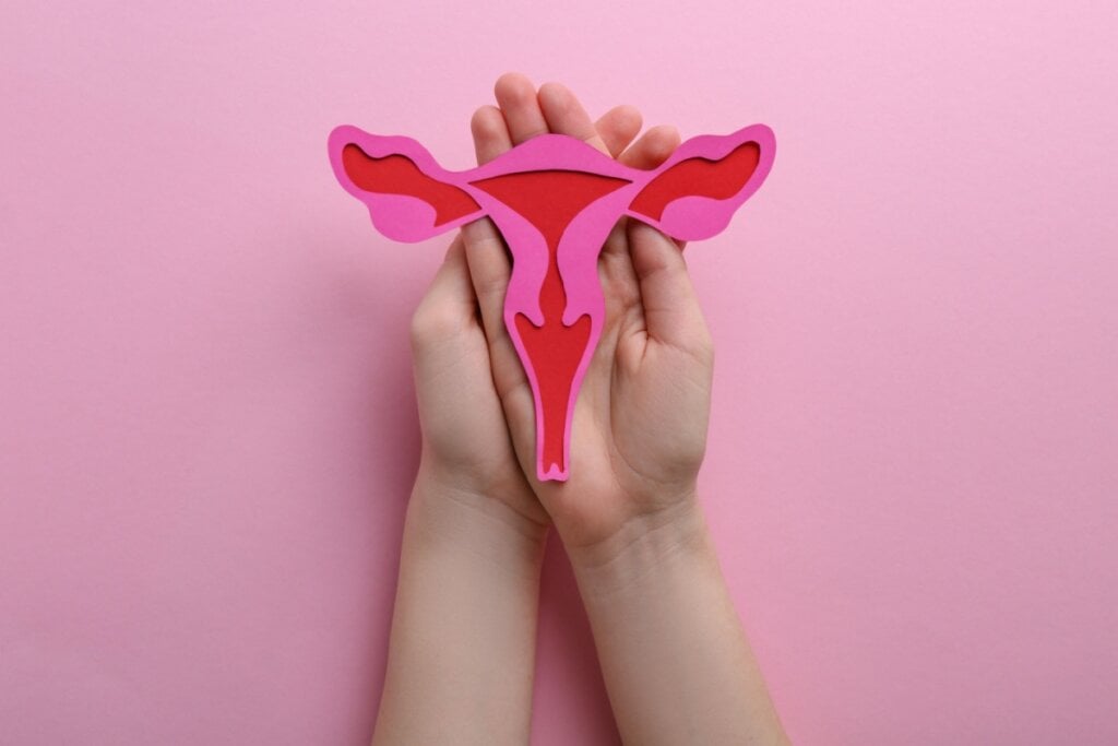 Imagem Edicase Brasil