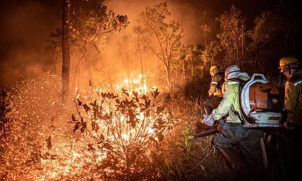  Brigadistas do Prevfogo/Ibama e ICMBio combatem incêndios florestais na Terra Indígena Tenharim/Marmelos, no Amazonas