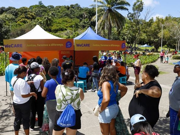 Imagem - Dia da Árvore é celebrado com plantio de mudas e oficinas sustentáveis em Salvador