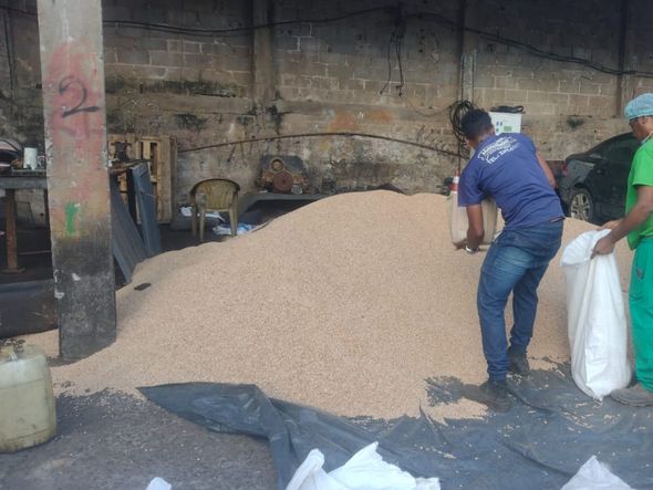 Imagem - Trio é preso em flagrante após roubar carga com 5 toneladas de feijão em Salvador