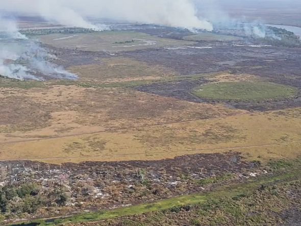 Imagem - Emissão de gases por incêndios é recorde em dois estados