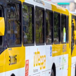 Imagem - Moradores de três bairros ganham nova linha de ônibus em Salvador