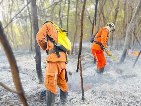 Imagem - Bombeiros apagam incêndios florestais em Barreiras e São Desidério