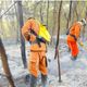 Imagem - Bombeiros apagam incêndios florestais em Barreiras e São Desidério