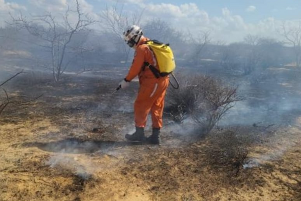 Corpo de Bombeiros Militar da Bahia apagando incêndio f