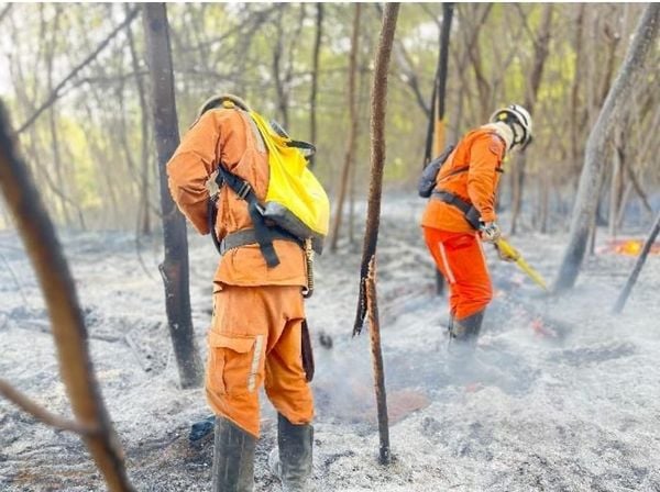 Corpo de Bombeiros Militar da Bahia apagando incêndio florestal