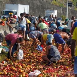 Imagem - Moradores são autorizados a pegar carga de R$ 60 mil em frutas de caminhão tombado