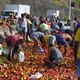 Imagem - 'Drive-thru das frutas': tombamento de caminhão faz a festa de soteropolitanos em Pirajá