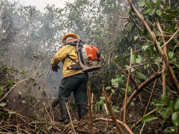 Imagem - Ibama multa fazendeiros em R$ 100 milhões por incêndio no Pantanal