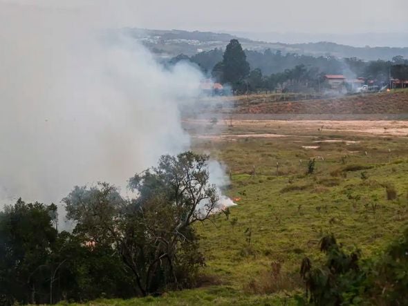 Imagem - Trabalhador e brigadista morrem em incêndios em São Paulo