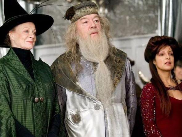 Imagem - Maggie Smith morreu exatamente 1 ano após Michael Gambon, o Dumbledore de 'Harry Potter'