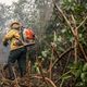 Imagem - Ibama multa fazendeiros em R$ 100 milhões por incêndio no Pantanal