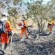 Imagem - Doze municípios baianos registram incêndios florestais no fim de semana