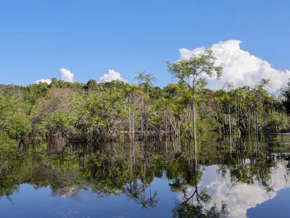 Imagem - Rio Negro pode passar por pior seca da história ainda esta semana