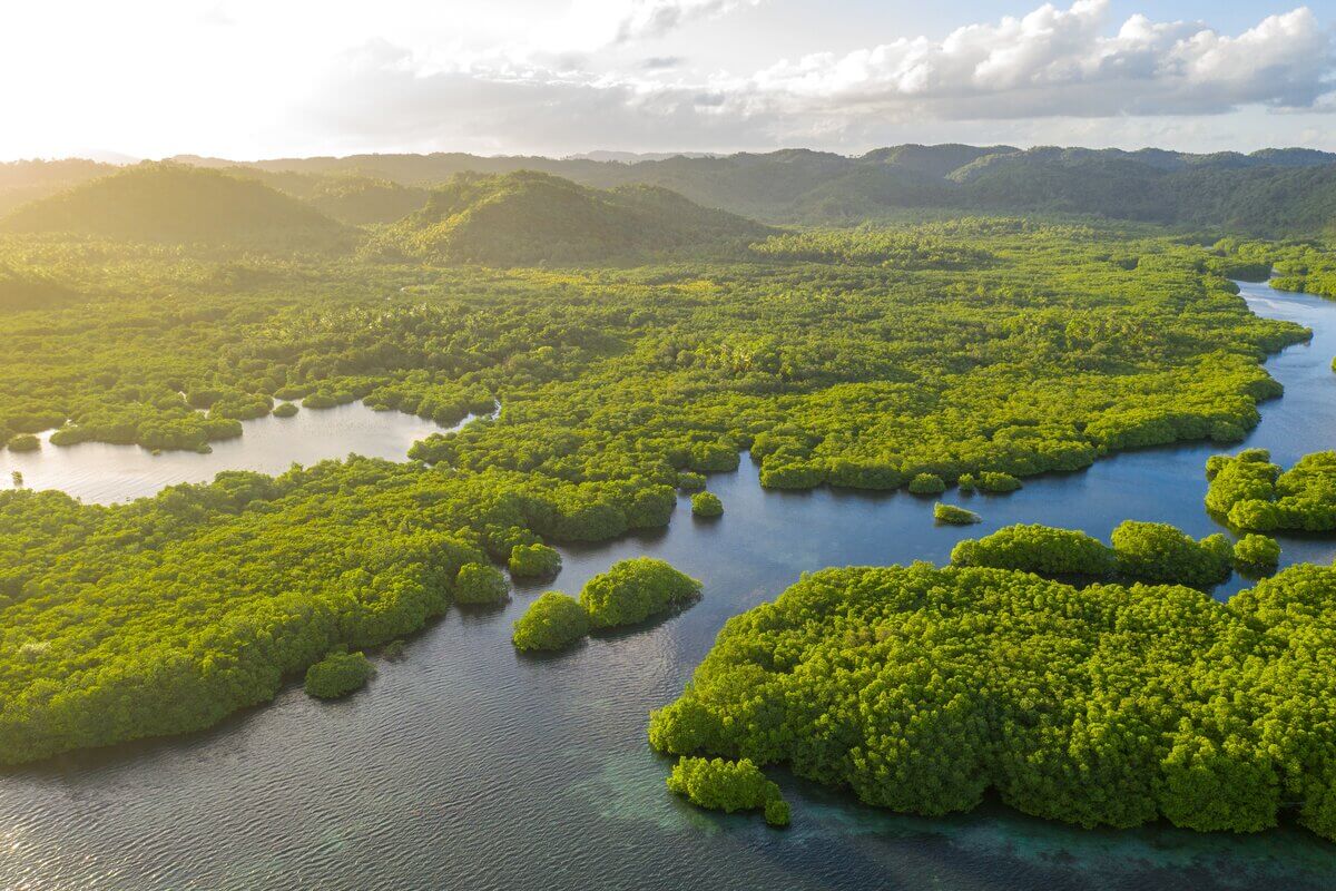 A Amazônia atrai os turistas por suas paisagens deslumbrantes e riqueza cultural (Imagem: Valentin Ayupov | Shutterstock)