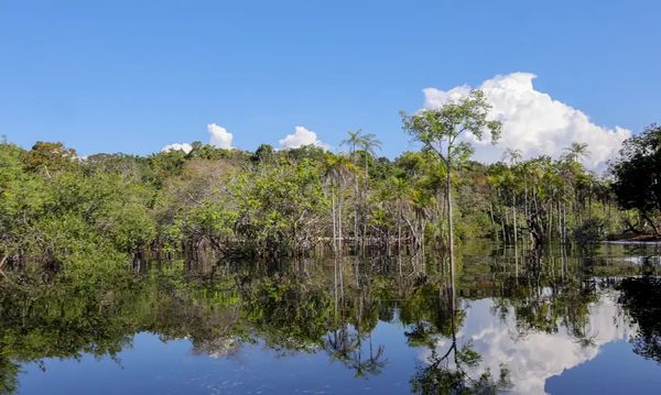 Rio Negro