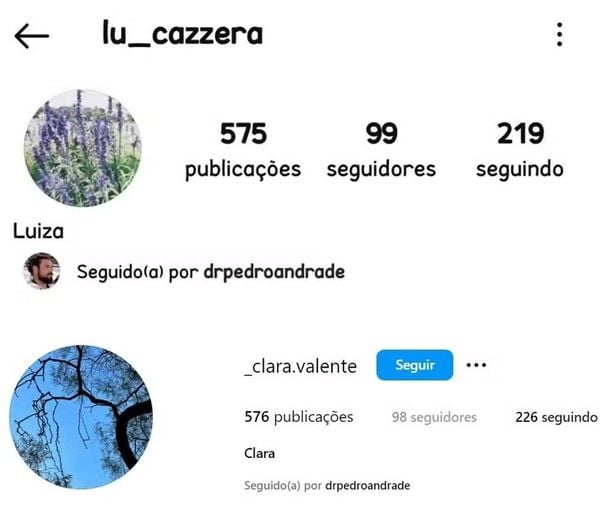 Perfil secreto de Sandy no Instagram