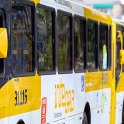 Imagem - Ferry, metrô e ônibus: transporte é gratuito neste domingo