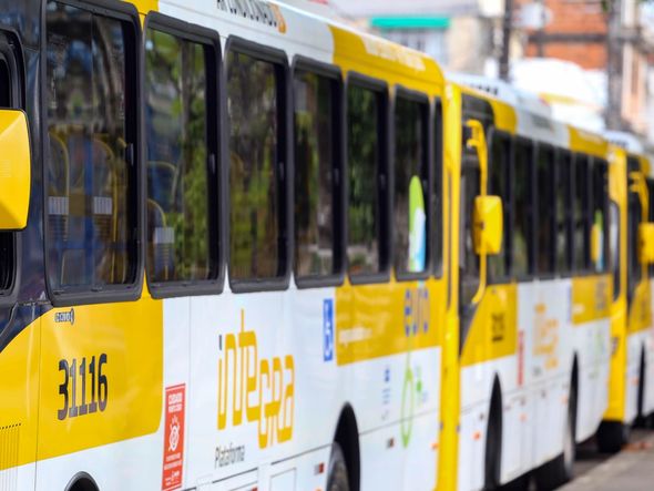 Imagem - Ônibus voltam a circular em Fazenda Coutos