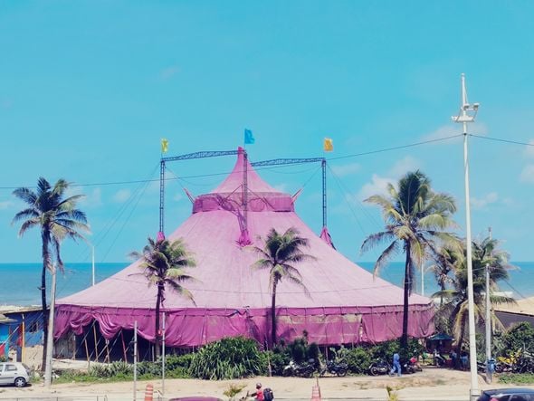 Imagem - Circo Picolino tem programação especial para o Dia das Crianças