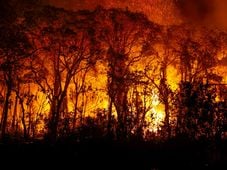 Imagem - Câmara aprova aumento de punição a quem provocar incêndios florestais