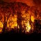 Imagem - PF investiga incêndios criminosos no Pantanal