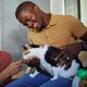 Imagem - Projeto define como fica a guarda de pets em caso de divórcio; saiba o que muda