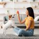 Imagem - 7 benefícios do reforço positivo para o cachorro