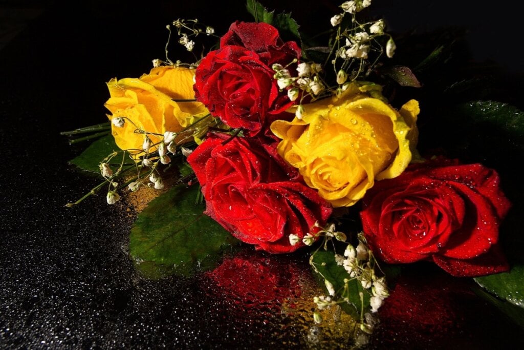 As rosas-amarelas e vermelhas são um ótimo presente para Nossa Senhora Aparecida   por Imagem: DmyTo | Shutterstock