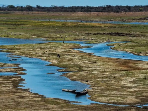 Imagem - Consórcio Nordeste cria comitê para monitorar emergências climáticas