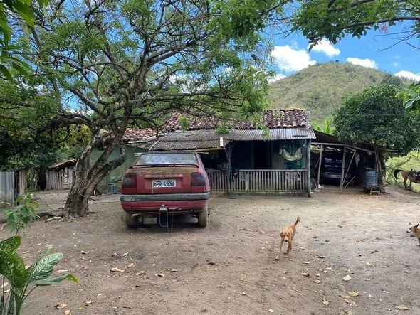 Imagem - Suspeito de manter sobrinha em cativeiro na Bahia por quase dez anos se entrega à polícia