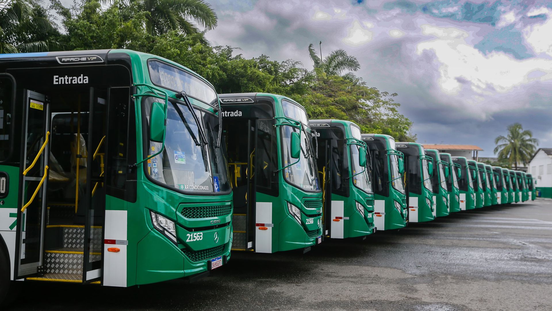 Imagem - Câmara de Salvador aprova redução da idade mínima para gratuidade em ônibus para 60 anos