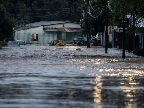 Imagem - Financiamento climático deve pautar COP29 no Arzebaijão