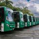 Imagem - Após ataques, Salvador ganha 18 novos ônibus com ar-condicionado