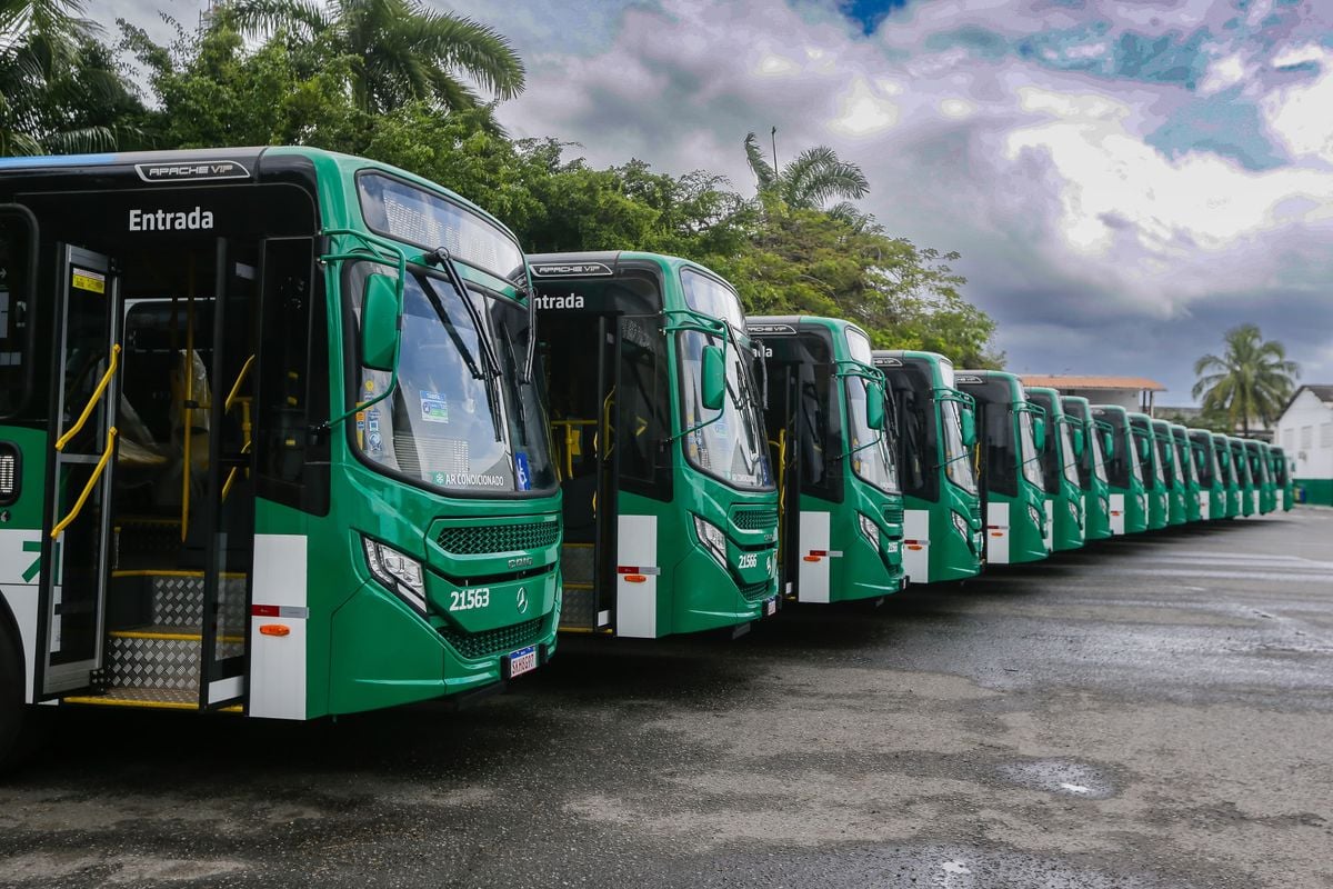 Até o final deste ano, 42% da frota de ônibus de Salvador terá ar-condicionado