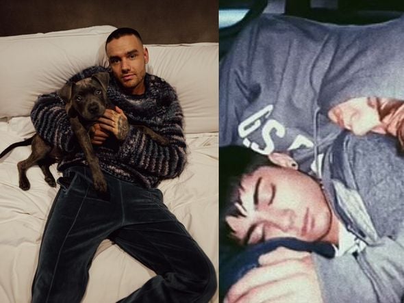 Imagem - Ex-One Direction Zayn Malik adia turnê após morte de Liam Payne