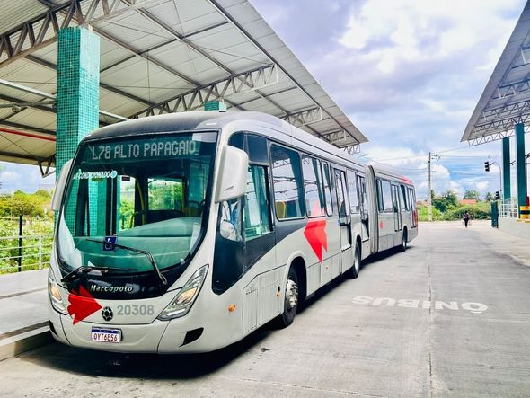 Imagem - Feira de Santana terá transporte reforçado para concurso público neste domingo (20)