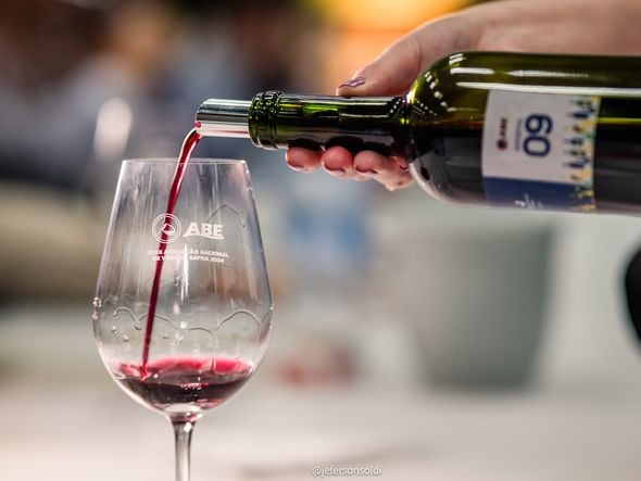 Imagem - Feira de vinhos Wine Dez vai reunir mais de 50 vinícolas em Salvador