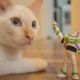 Imagem - 10 nomes para gatos inspirados em personagens da Pixar