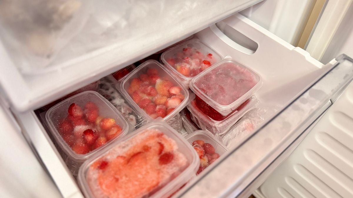 Alimentos congelados