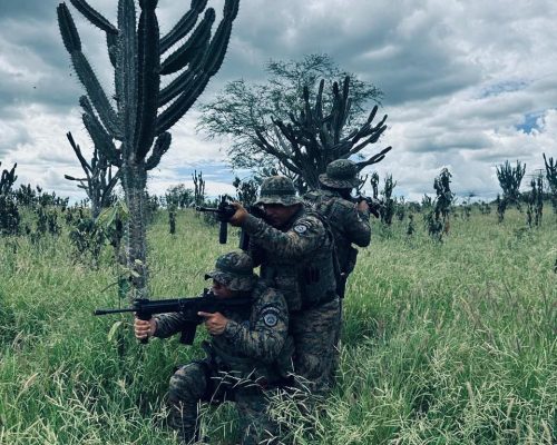 Caatinga atua no interior da Bahia