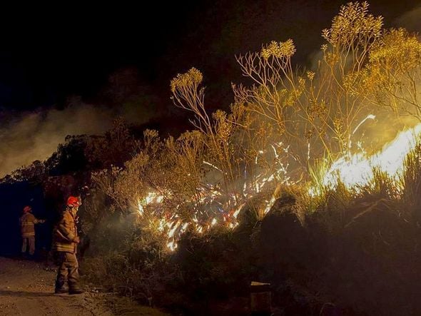 Imagem - ICMBio multa Exército em 6,5 milhões por incêndio florestal em parque