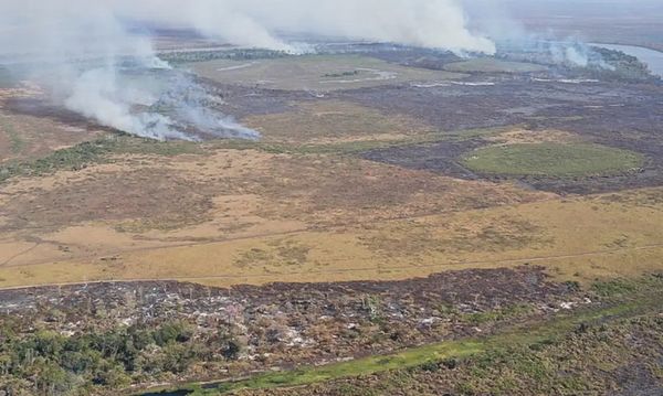 Incêndio e desmatamento em Corumbá, no MS