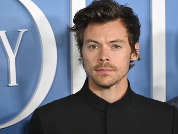 Imagem - Harry Styles é eleito o músico mais sexy do mundo em votação da 'People'