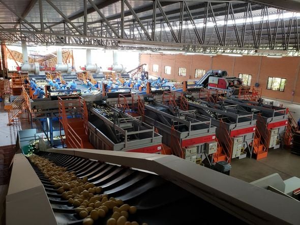 Imagem - Diamantes, café e vinhos: novas empresas abrem caminho para vida no interior da Bahia