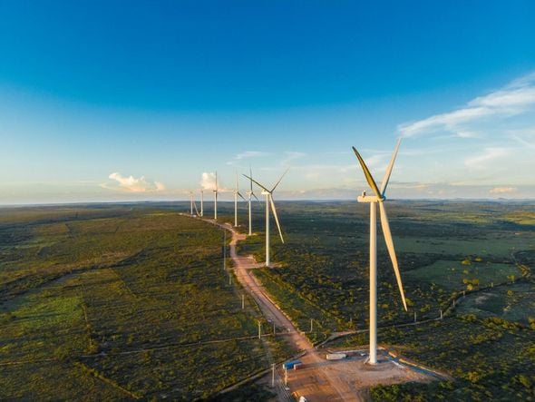 Imagem - Bons ventos na Bahia: geração de energia renovável é alternativa para empresas e impulsiona desenvolvimento